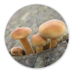 Rollstühle an einem Baumstamm-Keramik-Knofen Keramikknauf
