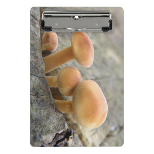 Rollstühle an einer Tree Trunk Mini-Zwischenablage Mini Klemmbrett