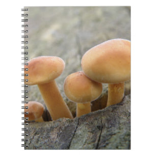 Rollstühle auf einem Tree Trunk-Notebook Notizblock