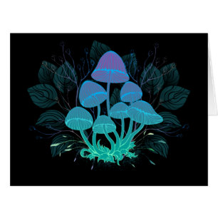 Rollstühle in Bushes