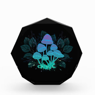 Rollstühle in Bushes Fotoblock