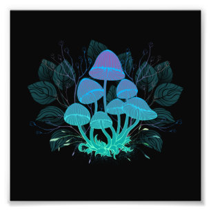 Rollstühle in Bushes Fotodruck