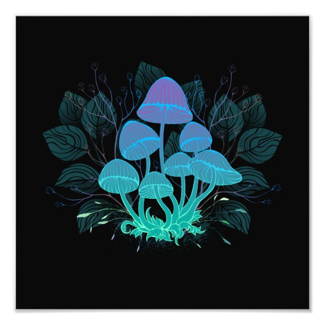 Rollstühle in Bushes Fotodruck (Vorne)