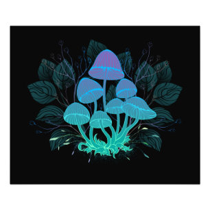 Rollstühle in Bushes Fotodruck