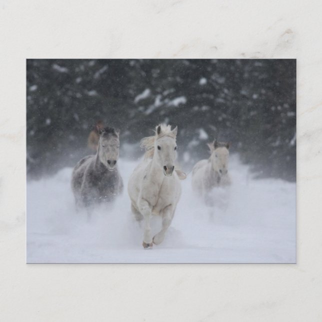 Rollthunder Postkarte (Vorderseite)