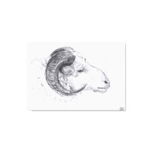 ROM - Original Zeichn - Canvas Print