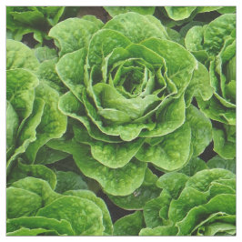 Romainekopfsalat-Feld-Fotogewebe Stoff