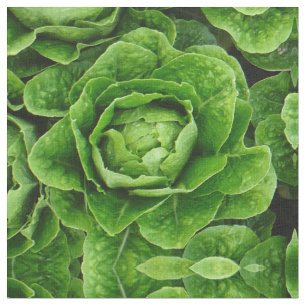 Romainekopfsalat-Fotogewebe Stoff