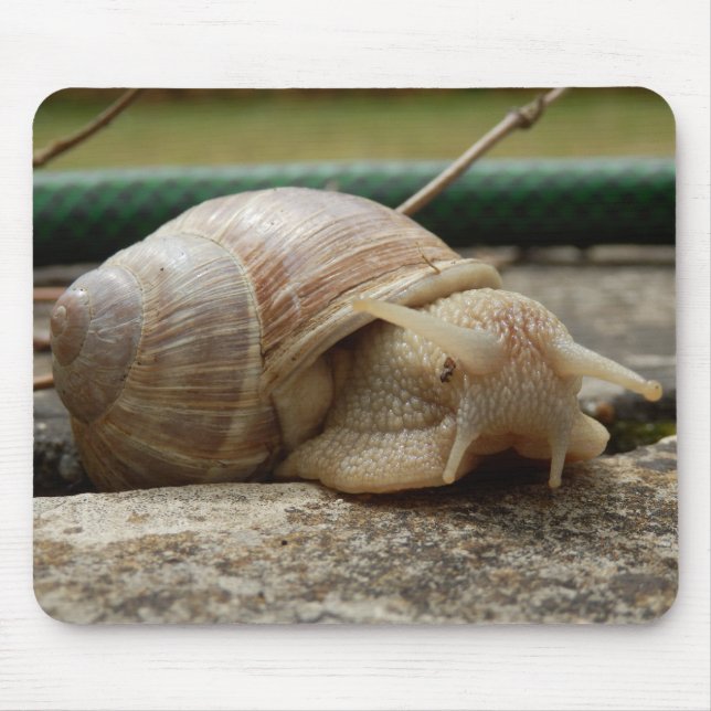 Roman Snail Mouse Mat Mousepad (Vorne)