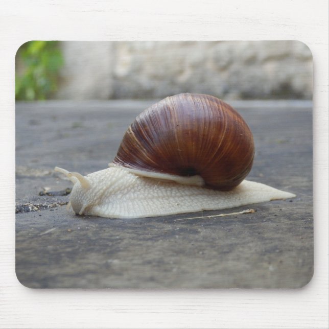 Roman Snail Mouse Mat Mousepad (Vorne)
