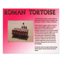 Roman Tortoise