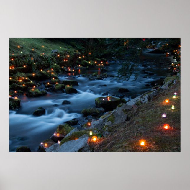 Romance - Magischer Wald Poster (Vorne)