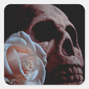 Romance - Schädel-und Pfirsich-Rose Quadratischer Aufkleber