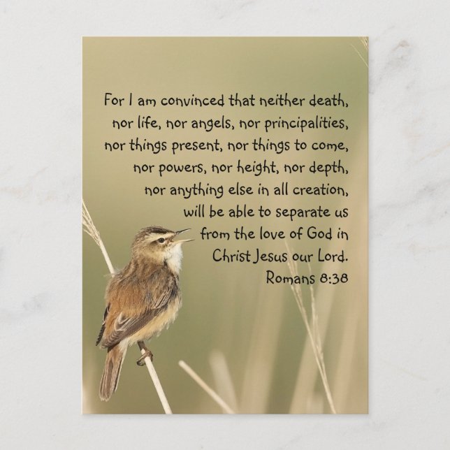 Romane 8:38 zur Inspirationsbibel-Bibelliteratur Postkarte (Vorderseite)