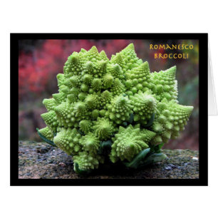 Romanesco Broccoli Gemüse