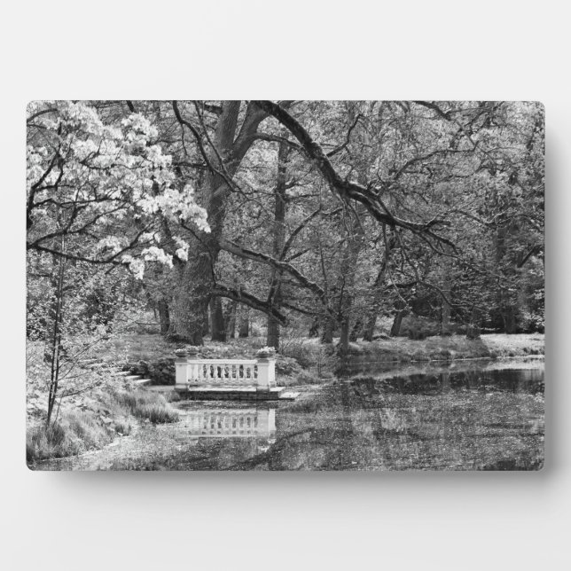 Romanischer See Fotoplatte (Vorderseite)