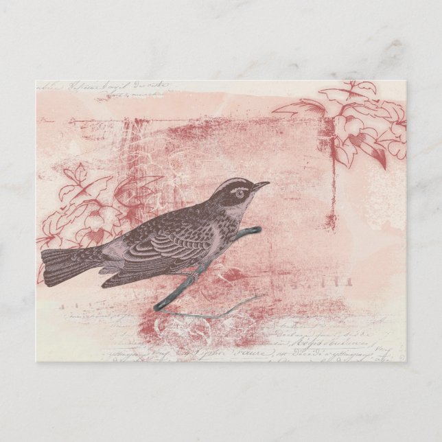 Romantic Bird Drawing Grunge Letter Love Postkarte (Vorderseite)