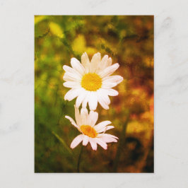 Romantic Flowers – Botanical Daisy Сouple Postkarte