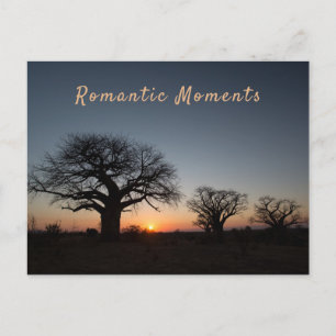 Romantic Momente Sunset Sacred Baobabs, Foto von Postkarte