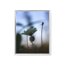 Romantic Trees & Flowers – Botanical Fantasy Boho