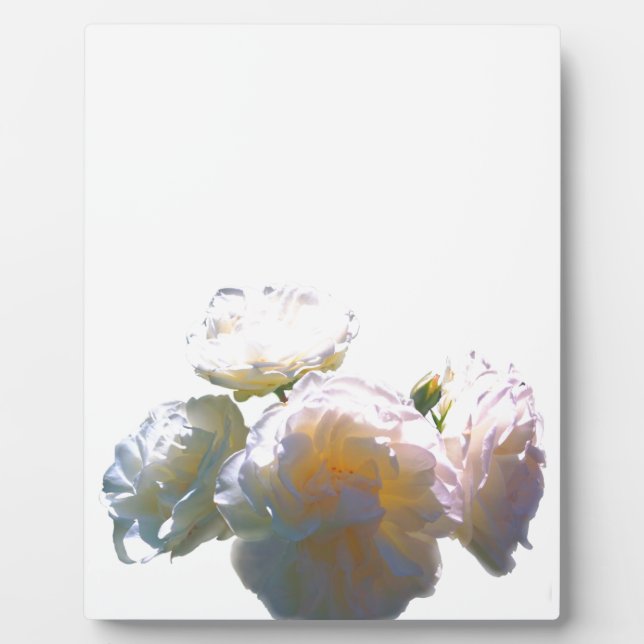 Romantic white, yellow, orange, golden amber roses fotoplatte (Vorderseite)