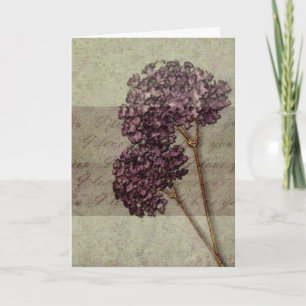 Romantik I Liebe Karte