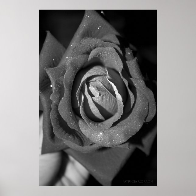 Romantik Poster (Vorne)