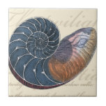 Romantik Seashell Fliese<br><div class="desc">Wohnst du weit weg vom Strand? Kein Problem! Lassen Sie sich von diesem romantischen Muschelgemälde an einem friedlichen Strand an einem sonnigen Tag verwöhnen. Dieses Kunstwerk romantisiert das Meer und die kleinen Wellen, die Ihnen verlassen werden, sich einen Strandbesuch zu gönnen. Holen Sie sich dieses gerahmte Seashell Panel auf Ihrem...</div>