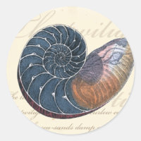 Romantik Seashell
