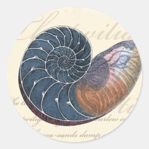 Romantik Seashell Runder Aufkleber