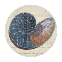Romantik Seashell