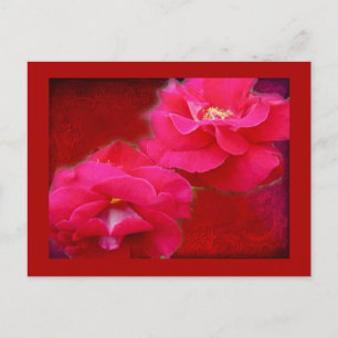 Romantik und Rote Rose Postkarte