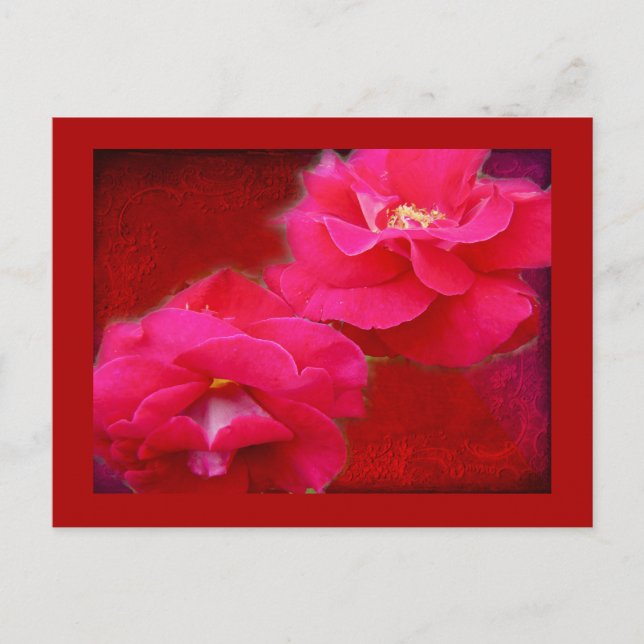 Romantik und Rote Rose Postkarte (Vorderseite)