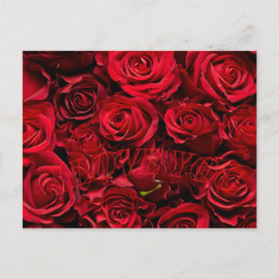 Romantique rose aime la carte postale de la Saint 