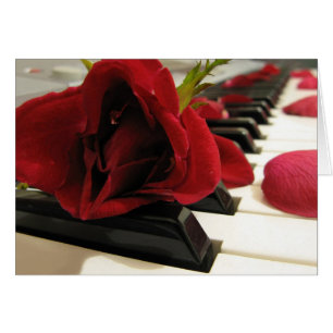 Romantique Rose rouge amour