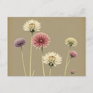 Romantische Allium Floral Vintag Postkarte