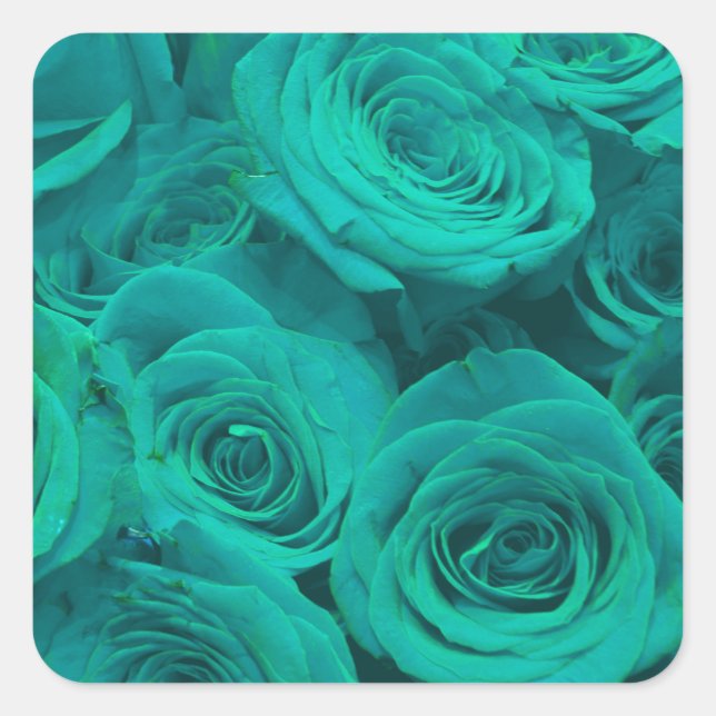 Romantische aquamarine grüne Rose Quadratischer Aufkleber (Vorderseite)