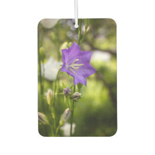 Romantische Bäume & Blumen – Botanische Fantasie B Autolufterfrischer