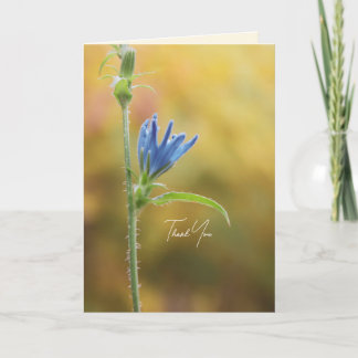 Romantische Bäume & Blumen – Botanische Fantasy Bo
