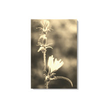 Romantische Bäume & Blumen – Botanische Fantasy Bo