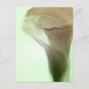 Romantische Blume Postkarte