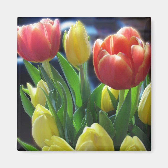 Romantische Blume Rot und Gelb Tulip Kühlschrankma Magnet (Vorne)