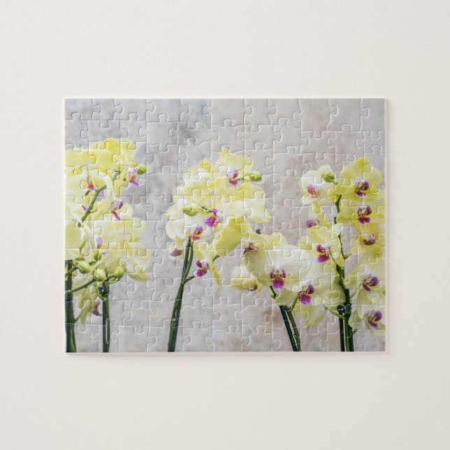 Romantische Creme & Lilac Orchids (Horizontal)