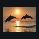 Romantische Delphine Postkarte<br><div class="desc">Phantastische Tierkarte mit zwei Delphinen,  die bei Sonnenuntergang springen.</div>