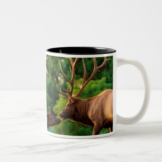 Romantische Elch-Tasse Zweifarbige Tasse (Rechts)