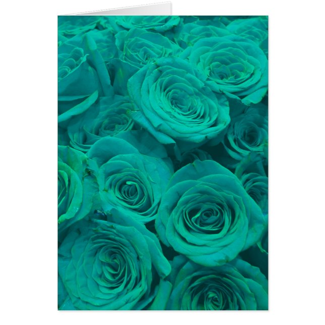 Romantische elegante aquamarine - grüne Rose (Vorne)