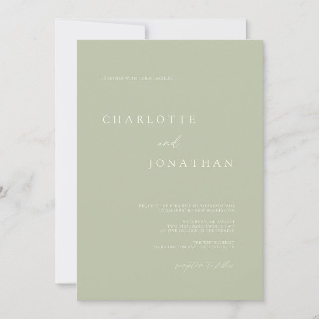 Romantische Elegante Moderne Hochzeit Einladung (Vorderseite)