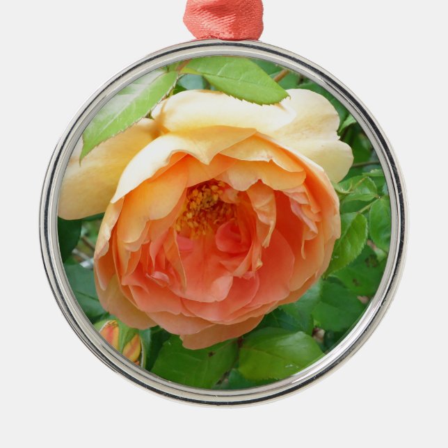 Romantische elegante Orange-Rose Ornament Aus Metall (Vorne)