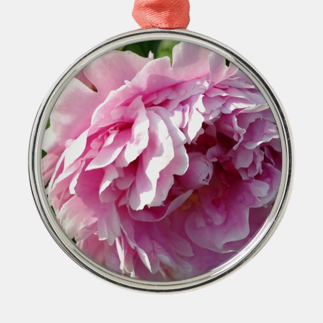 Romantische, elegante rosafarbene, blühende Pink P Silbernes Ornament (Vorne)