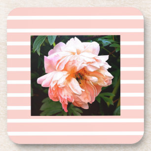 Romantische Frühlingspferde auf Peach Stripes Getränkeuntersetzer